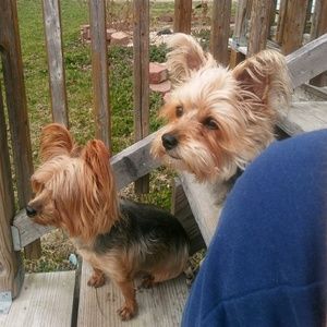 Meet your Posher, Cliff